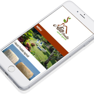 Versione Responsive sito AIA Versilia