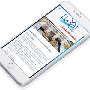 iwai-responsive