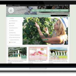 E-commerce Oligea